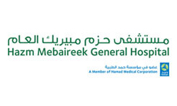 Hazm Mebeirek Hospital